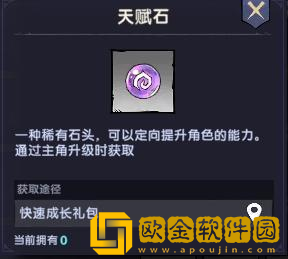 飞翔之光