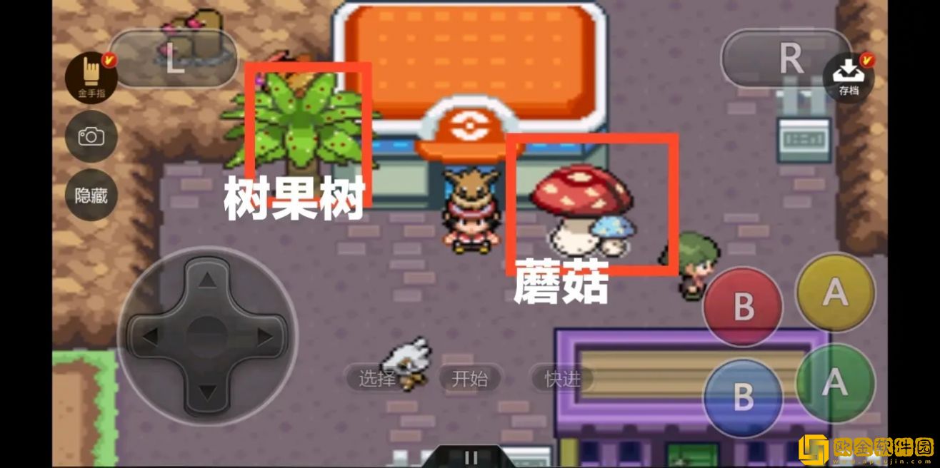魔法驯兽战记