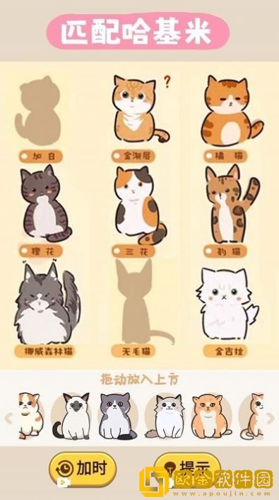 匹配哈基米