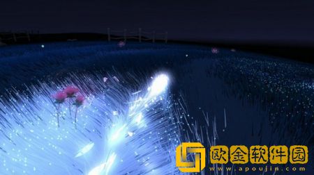 陈星汉flower