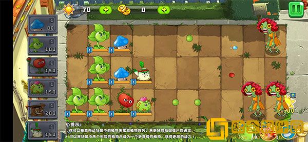 植物吊打僵尸
