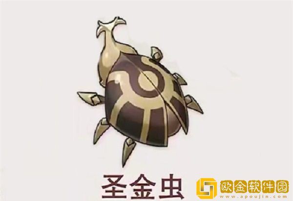 原神圣金虫多久刷新一次-原神圣金虫刷新时间介绍