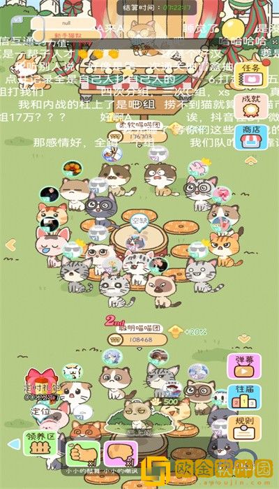 找下猫