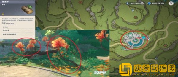 原神3.1木头采集点在哪里