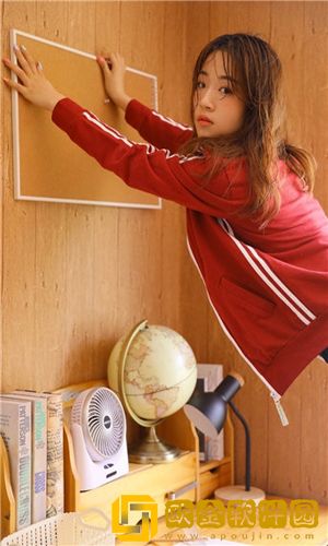 伊春区伊美区人口