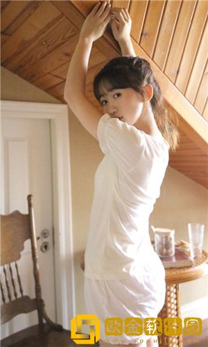 鉴定师免费下载