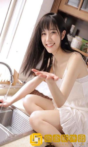 家族史2从商篇安卓版