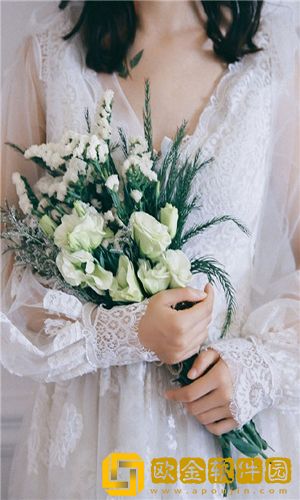 榴莲秋葵向日葵老版本-榴莲秋葵向日葵老版本直达安全版v1.5.8