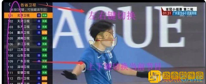 hdp直播怎么选台