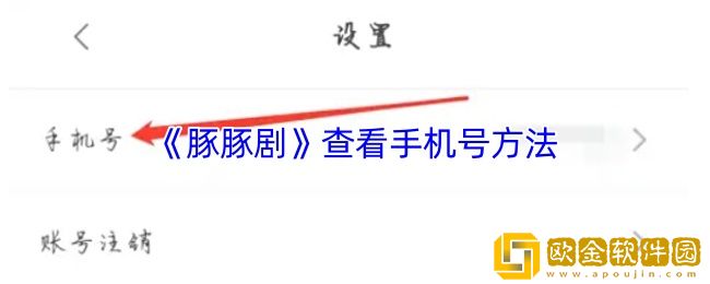 豚豚剧怎么查看手机号-豚豚剧查看手机号方法