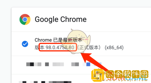 谷歌浏览器怎么看版本号