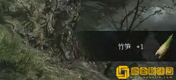 明末渊虚之羽蜀神庇护怎么获得