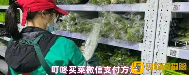 叮咚买菜怎么用微信付款-微信支付方法