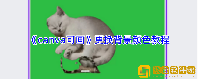 canva可画怎么换背景颜色-更换背景颜色教程