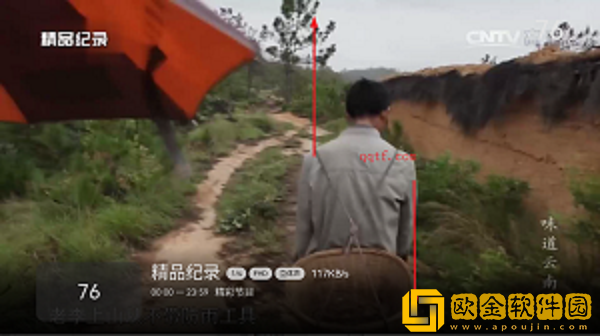 小飞电视怎么使用