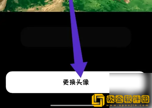 猫箱怎么更换头像