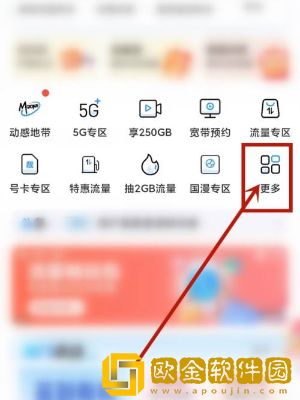 *
移动app怎么查询充值话费记录