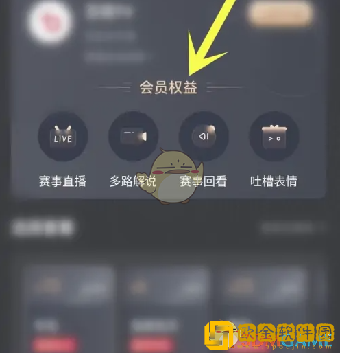 百视tv体育会员有什么用