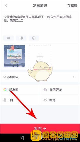 小红书怎么发帖子