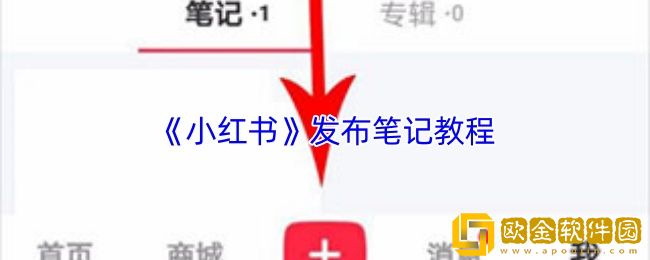 小红书怎么发帖子-小红书发布笔记教程