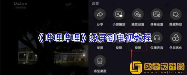 哔哩哔哩怎么投屏到电视-投屏到电视教程