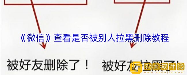 微信怎么看被别人拉黑或者已删-查看微信是否被别人拉黑删除教程