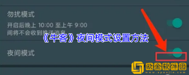 牛客怎么设置夜间模式-牛客app夜间模式设置方法