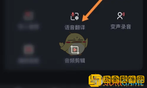 录音专家怎么翻译语音