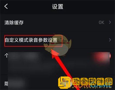 录音专家怎么设置双声道
