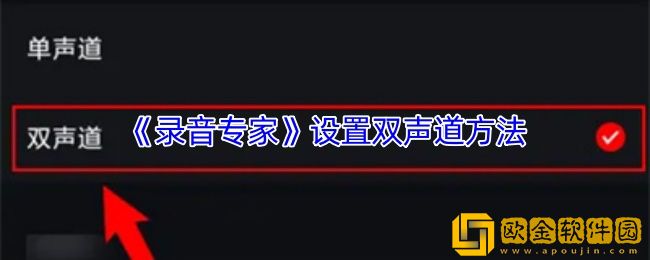 录音专家怎么设置双声道-设置双声道方法