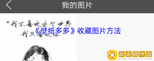 壁纸多多怎么收藏图片-收藏壁纸方法