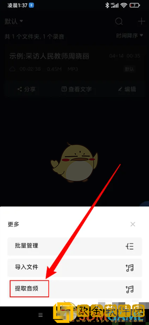 录音专家如何提取音频