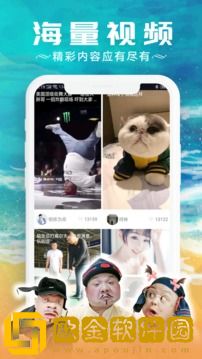 《饥饿的女儿意大利满天星》联机版