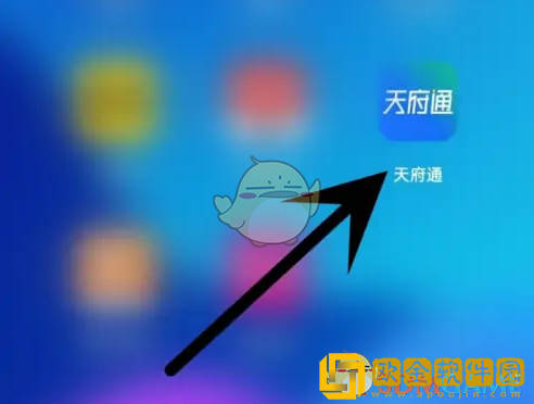 天府通怎么开会员