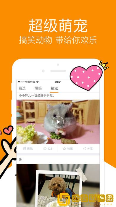 破外女2高清完整版免费移动版