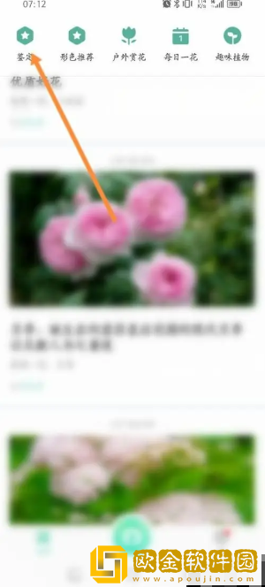 形色app怎么鉴定植物