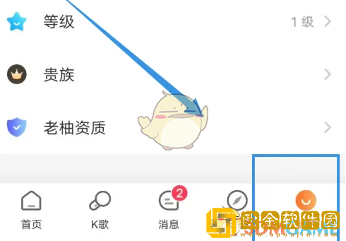 老柚怎么看收益