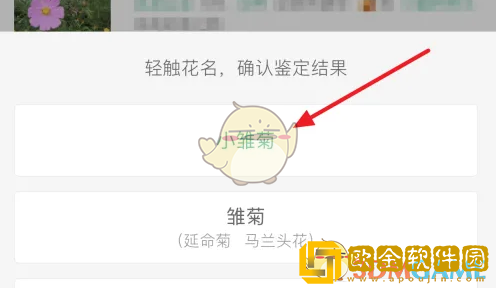 形色app怎么发布鉴定