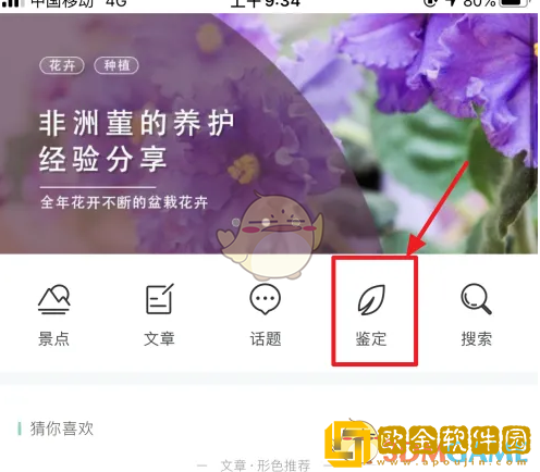 形色app怎么发布鉴定