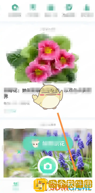 形色app怎么设置权限