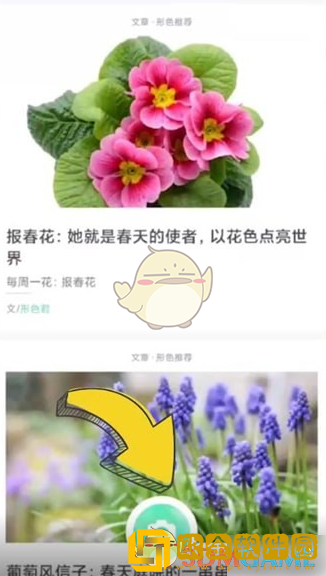形色app怎么识别植物