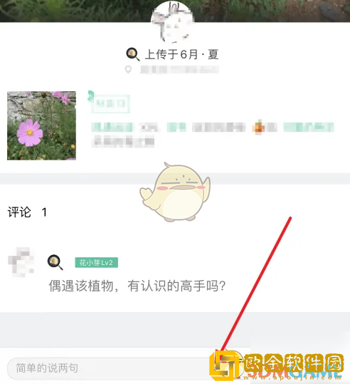 形色app怎么发布鉴定
