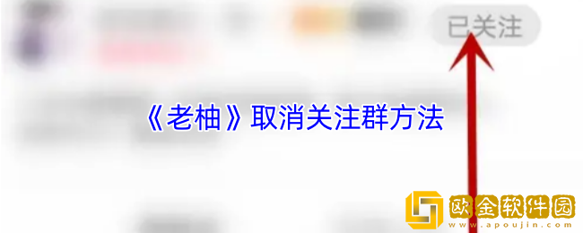 老柚怎么取消关注群-老柚app取消关注群方法