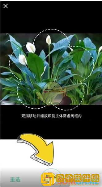 形色app怎么识别植物