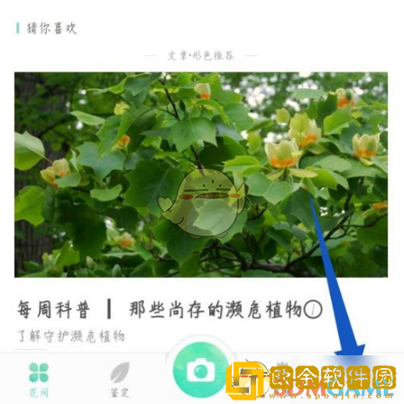 形色app怎么改头像