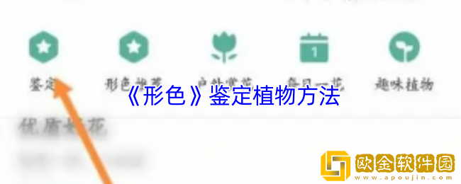 形色app怎么鉴定植物-形色app鉴定植物方法