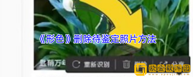 形色app怎么删除待鉴定图片-删除待鉴定照片方法