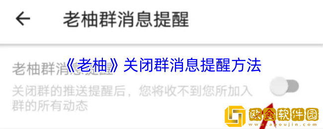 老柚怎么关闭群消息-老柚app关闭群消息提醒方法