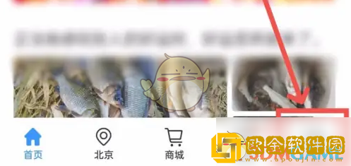 钓鱼人app怎么导航钓位
