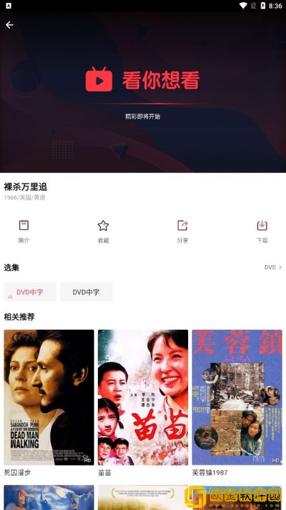 韩剧《女仆》免费观看纯净版